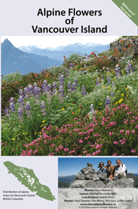 Alpine Flowers Vancouver Island