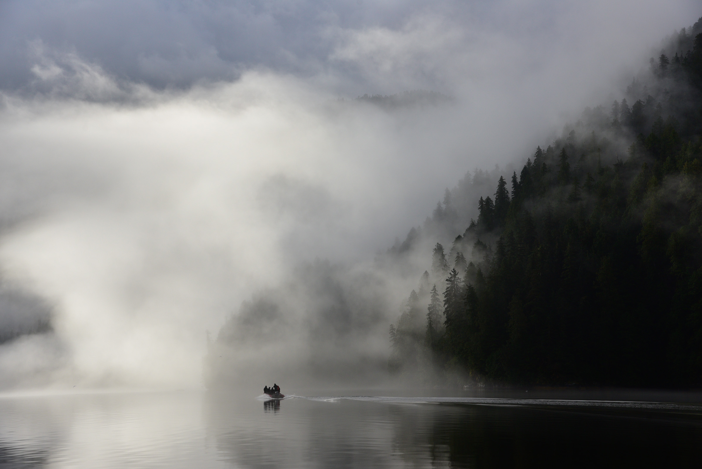 Exploring a sheltered lagoon in the Great Bear Rainforest