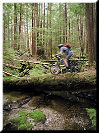 Mountain Biking on Quadra Island