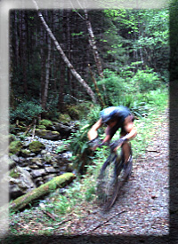 Mountain Biking on Quadra Island