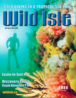 Issue 20 April-May 2002