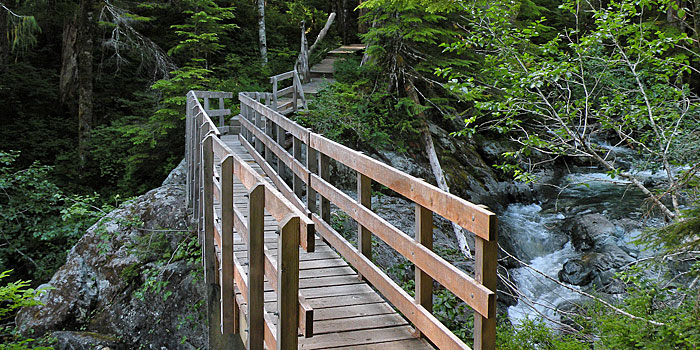 Bridge, Bedwell trail