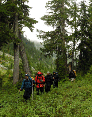 Hiking in Strathcona Park, British Columbia