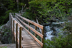 Bridge over Thelwood Creek, Strathcona Park